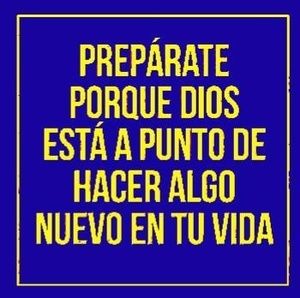 Meet your Posher, Marisol